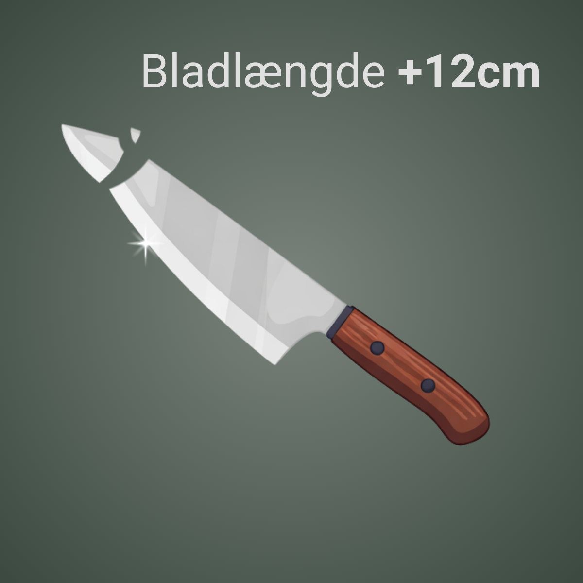 Stor kniv slibning og reparation af spids